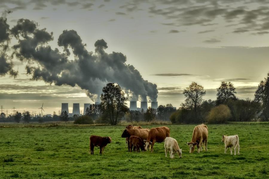 Een extra belastingaanslag moet 1,8 miljard euro opleveren voor de schatkist. De opbrengsten van deze zogenaamde 'inframarginale heffing' worden gebruikt om een gedeelte van het compensatiepakket voor de hoge energieprijzen te financieren. 